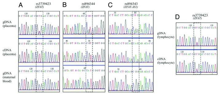 https://cdn.ncbi.nlm.nih.gov/pmc/blobs/25d0/3466192/a21dc0bf0ac8/epi-7-1079-g1.jpg
