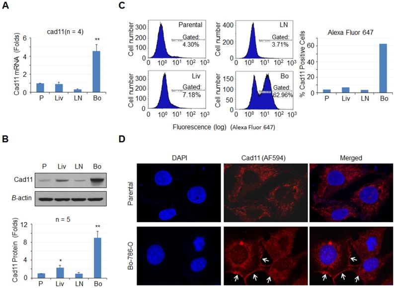 https://cdn.ncbi.nlm.nih.gov/pmc/blobs/25d1/3933681/366fc11260b4/pone.0089880.g002.jpg