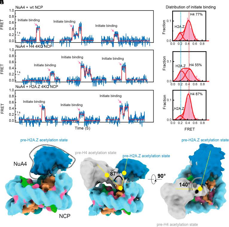 https://cdn.ncbi.nlm.nih.gov/pmc/blobs/25d2/11962513/c59254fda9a7/pnas.2414490122fig03.jpg