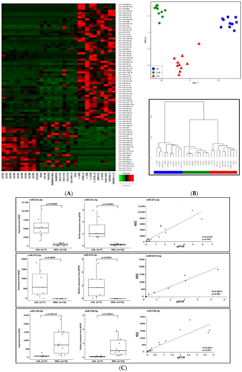 https://cdn.ncbi.nlm.nih.gov/pmc/blobs/25d2/8269295/bada90aee57f/cancers-13-03131-g001.jpg