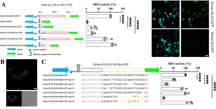 https://cdn.ncbi.nlm.nih.gov/pmc/blobs/25d3/11093360/ab5437cfcf40/pbio.3002582.g002.jpg