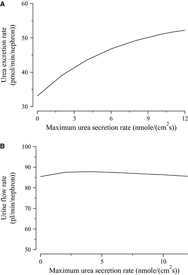 https://cdn.ncbi.nlm.nih.gov/pmc/blobs/25d3/3834992/6b1f24a82fb3/phy20001-e00034-f5.jpg