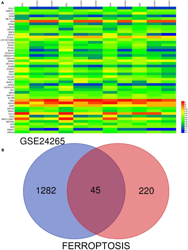 https://cdn.ncbi.nlm.nih.gov/pmc/blobs/25d3/8215678/63ccb2369cd5/fnins-15-661663-g001.jpg