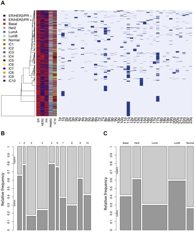https://cdn.ncbi.nlm.nih.gov/pmc/blobs/25d5/5528682/19626205aa3b/MOL2-9-115-g001.jpg