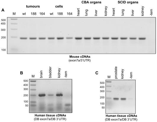 https://cdn.ncbi.nlm.nih.gov/pmc/blobs/25d6/3342274/d4f127f7fb0d/pone.0035231.g003.jpg