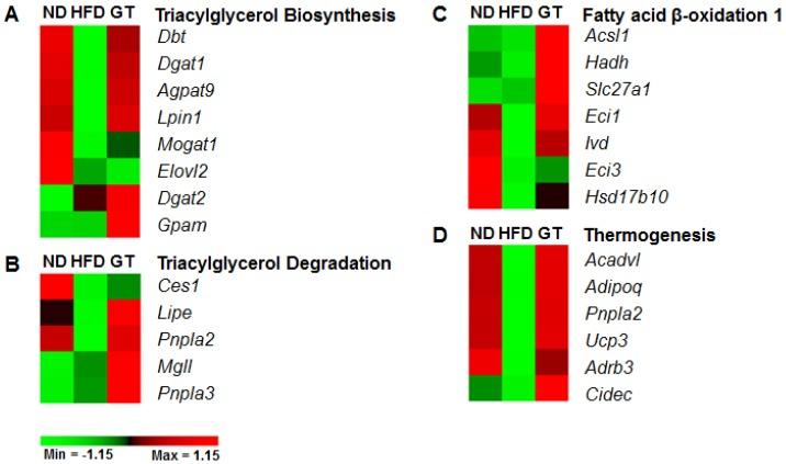 https://cdn.ncbi.nlm.nih.gov/pmc/blobs/25d8/5084027/0e2d7bc5b699/nutrients-08-00640-g005.jpg