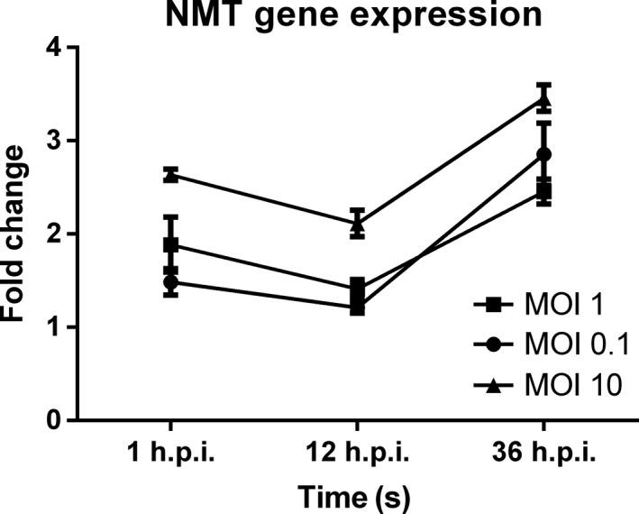 https://cdn.ncbi.nlm.nih.gov/pmc/blobs/25d8/6741125/ab0f81992ea6/MBO3-8-e00831-g004.jpg