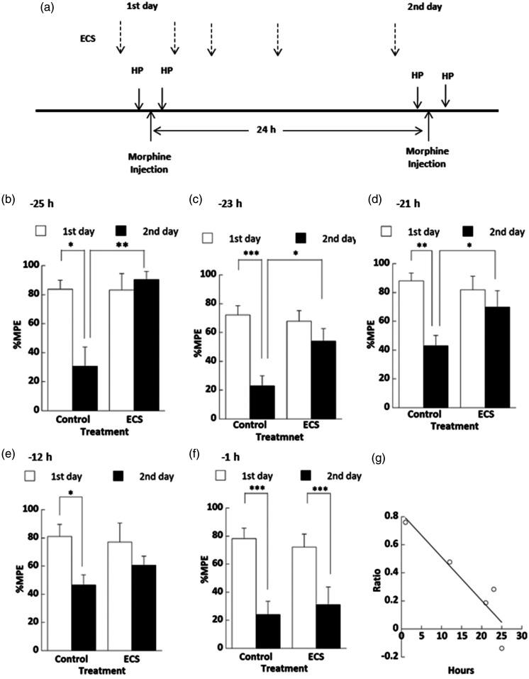 https://cdn.ncbi.nlm.nih.gov/pmc/blobs/25d9/7897827/f291237a3c9f/10.1177_1744806921992628-fig1.jpg