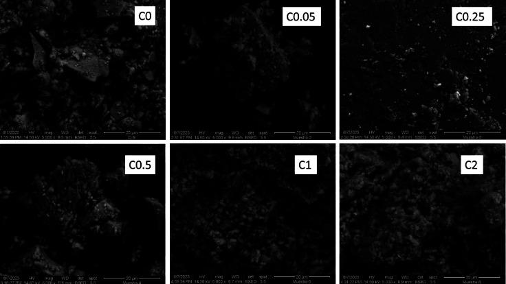 https://cdn.ncbi.nlm.nih.gov/pmc/blobs/25db/11170641/f06d778dc0b4/ao4c02040_0006.jpg
