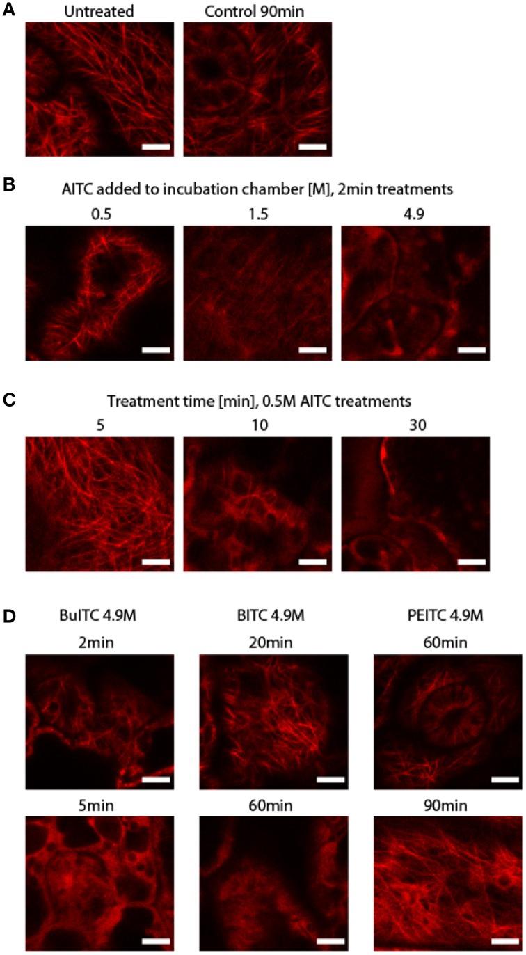 https://cdn.ncbi.nlm.nih.gov/pmc/blobs/25db/4303138/0d7164b6bbbc/fpls-06-00006-g0003.jpg