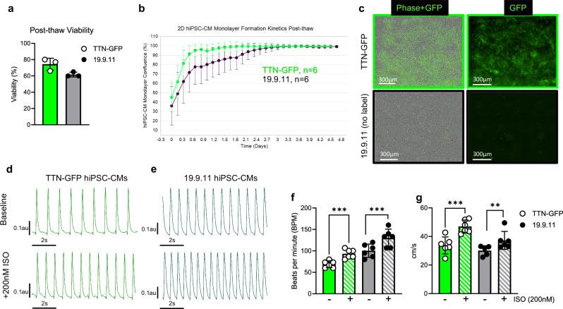 https://cdn.ncbi.nlm.nih.gov/pmc/blobs/25de/12075813/01079f00c7de/42003_2025_8162_Fig6_HTML.jpg