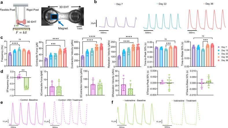 https://cdn.ncbi.nlm.nih.gov/pmc/blobs/25de/12075813/3fedddbddf07/42003_2025_8162_Fig8_HTML.jpg