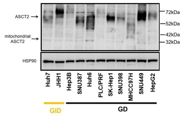 https://cdn.ncbi.nlm.nih.gov/pmc/blobs/25de/7535927/23e8427bf29e/elife-56749-resp-fig1.jpg