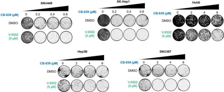 https://cdn.ncbi.nlm.nih.gov/pmc/blobs/25de/7535927/29cb06a95d3f/elife-56749-fig4-figsupp1.jpg