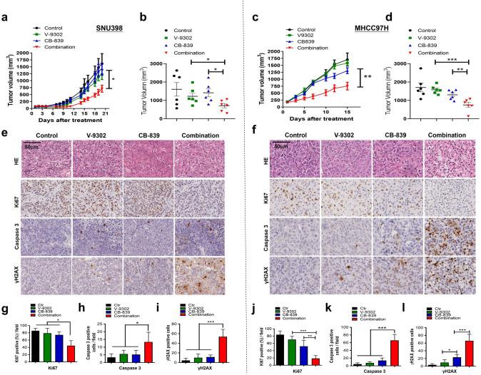 https://cdn.ncbi.nlm.nih.gov/pmc/blobs/25de/7535927/4bb28f0ab17c/elife-56749-fig6.jpg