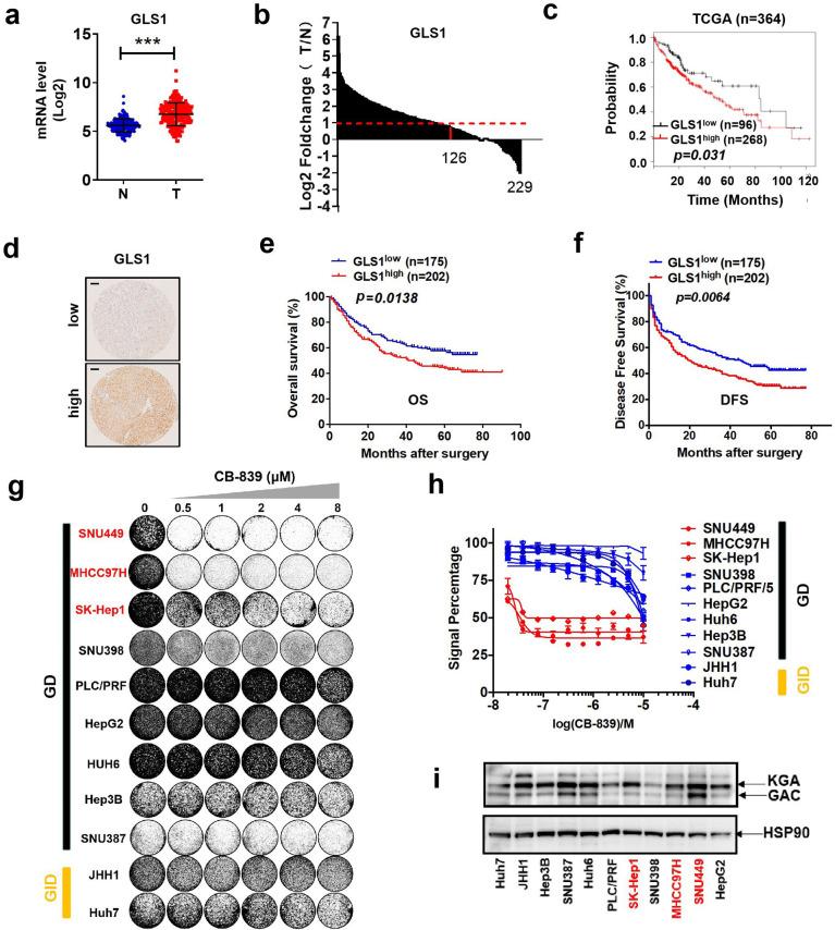 https://cdn.ncbi.nlm.nih.gov/pmc/blobs/25de/7535927/acfb945ad5a8/elife-56749-fig2.jpg