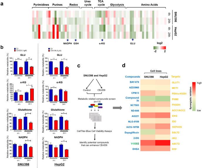 https://cdn.ncbi.nlm.nih.gov/pmc/blobs/25de/7535927/c015aa4abaca/elife-56749-fig3.jpg