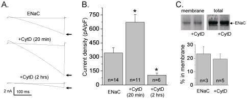 https://cdn.ncbi.nlm.nih.gov/pmc/blobs/25df/2809106/0aa509ccfe0b/pone.0008827.g001.jpg