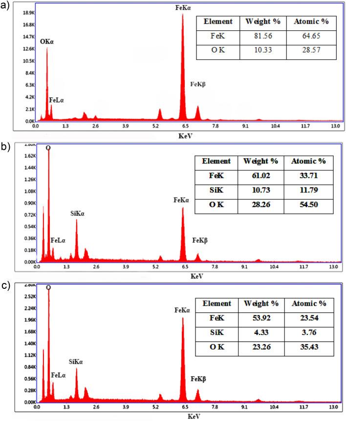 https://cdn.ncbi.nlm.nih.gov/pmc/blobs/25e0/11102556/37dbfe9668d2/41598_2024_62248_Fig5_HTML.jpg