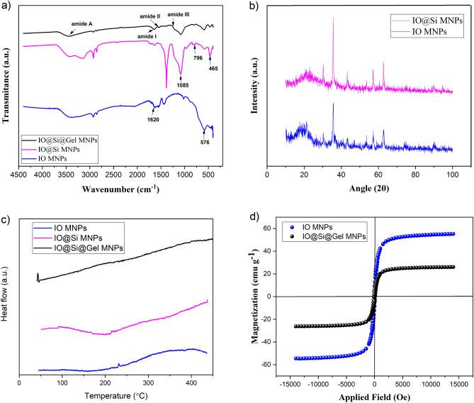 https://cdn.ncbi.nlm.nih.gov/pmc/blobs/25e0/11102556/407369945423/41598_2024_62248_Fig3_HTML.jpg