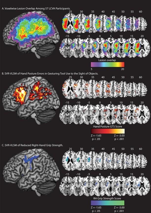 https://cdn.ncbi.nlm.nih.gov/pmc/blobs/25e1/8152889/05a072f46900/tgaa035f2.jpg
