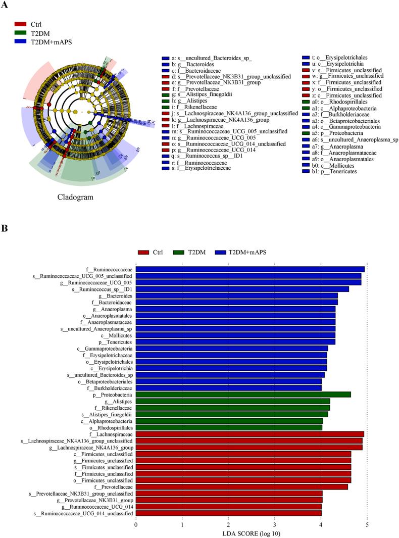 https://cdn.ncbi.nlm.nih.gov/pmc/blobs/25e2/12143329/0ae02ee1eeea/gr8.jpg