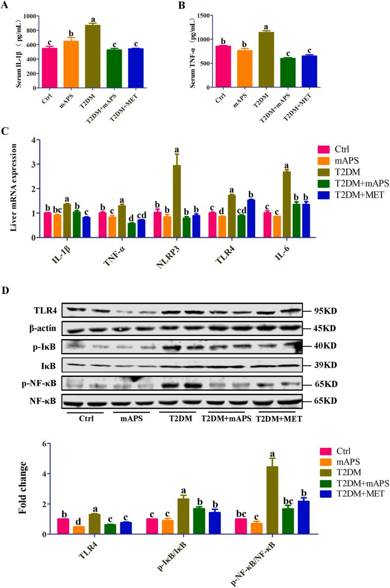 https://cdn.ncbi.nlm.nih.gov/pmc/blobs/25e2/12143329/b9e418b3bcc2/gr5.jpg