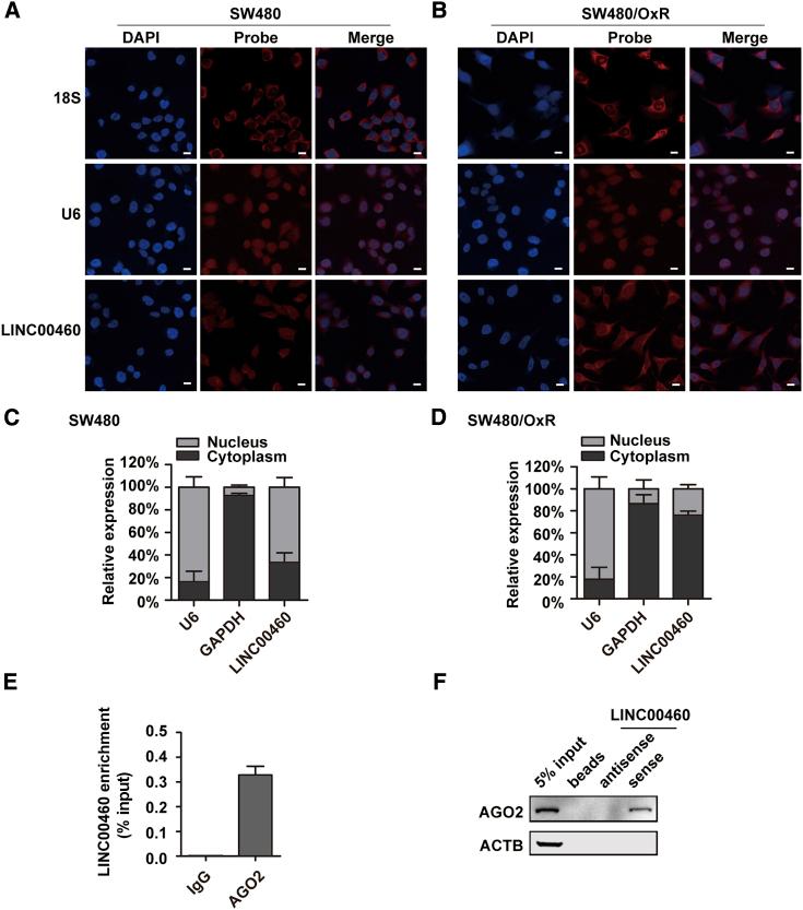 https://cdn.ncbi.nlm.nih.gov/pmc/blobs/25e6/7679243/043b5c958737/gr2.jpg