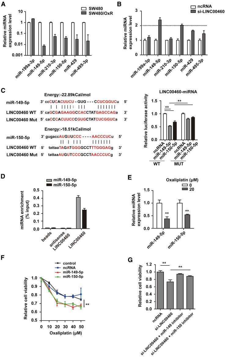 https://cdn.ncbi.nlm.nih.gov/pmc/blobs/25e6/7679243/1f832102df14/gr3.jpg