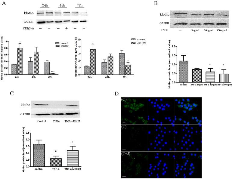 https://cdn.ncbi.nlm.nih.gov/pmc/blobs/25e9/4613497/e7fa42a223d0/cs1291011fig3.jpg