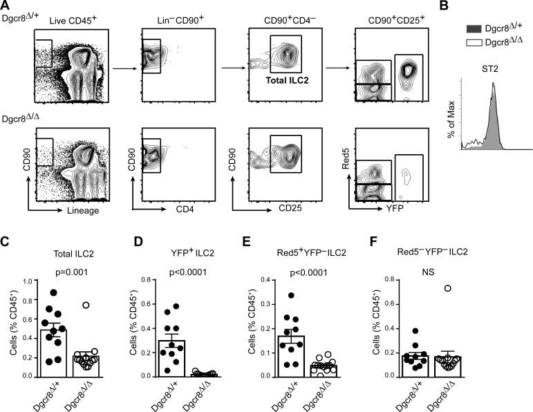 https://cdn.ncbi.nlm.nih.gov/pmc/blobs/25ea/5716040/03281cf2103a/JEM_20170545_Fig2.jpg