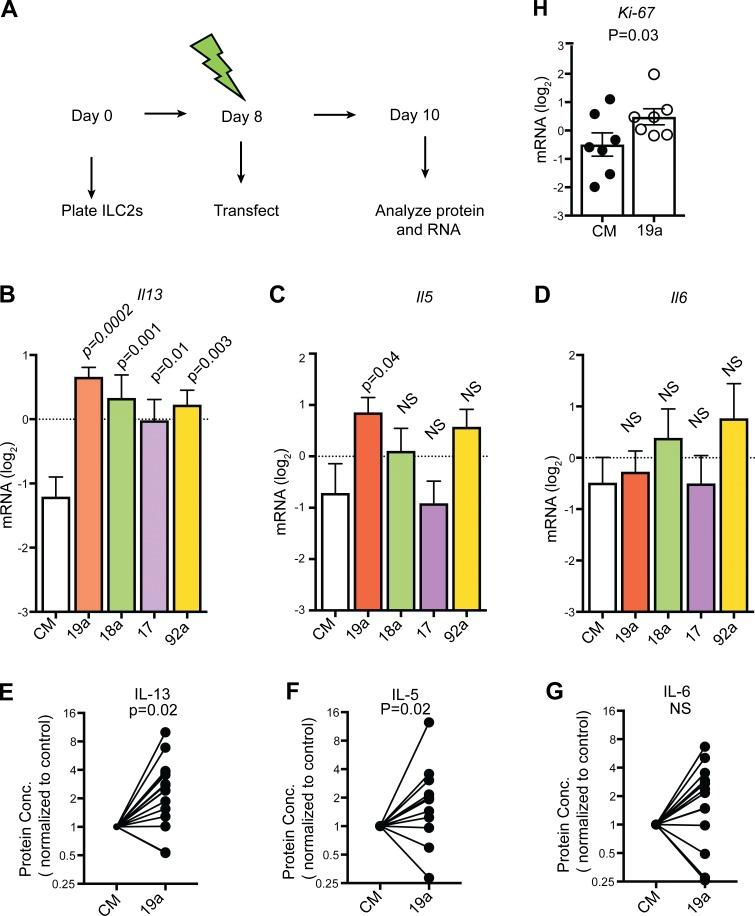 https://cdn.ncbi.nlm.nih.gov/pmc/blobs/25ea/5716040/3456e8edef37/JEM_20170545_Fig7.jpg