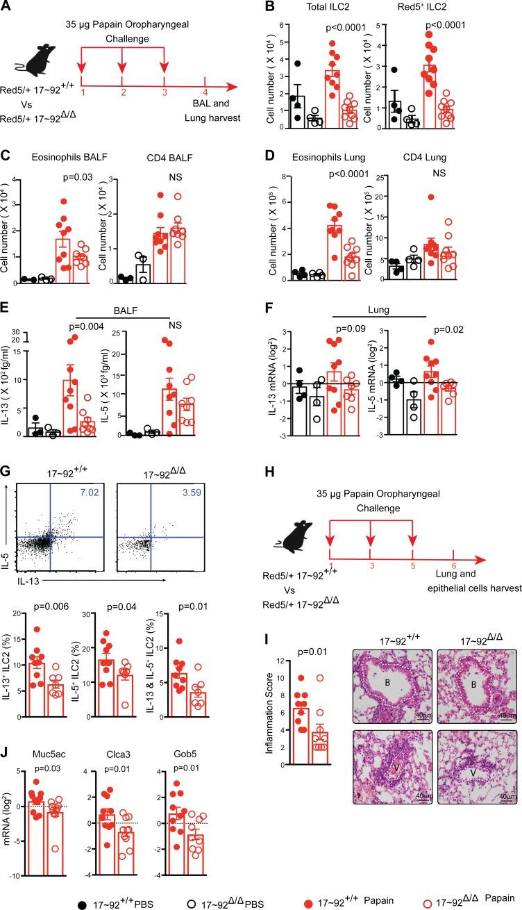 https://cdn.ncbi.nlm.nih.gov/pmc/blobs/25ea/5716040/87ffef2f0571/JEM_20170545_Fig4.jpg