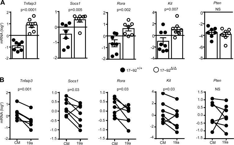 https://cdn.ncbi.nlm.nih.gov/pmc/blobs/25ea/5716040/96ae0ac1c8eb/JEM_20170545_Fig8.jpg