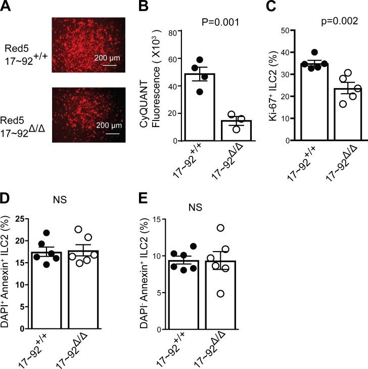 https://cdn.ncbi.nlm.nih.gov/pmc/blobs/25ea/5716040/d65c7b2faa67/JEM_20170545_Fig5.jpg