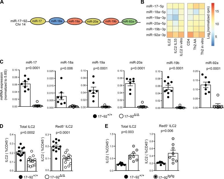 https://cdn.ncbi.nlm.nih.gov/pmc/blobs/25ea/5716040/fc44f89ae59b/JEM_20170545_Fig3.jpg
