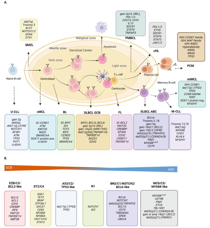 https://cdn.ncbi.nlm.nih.gov/pmc/blobs/25ec/11006337/b73234a6c3cc/j_medgen-2024-2005_fig_001.jpg