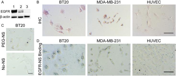 https://cdn.ncbi.nlm.nih.gov/pmc/blobs/25f0/5426781/1f496f4600c4/pone.0177592.g003.jpg