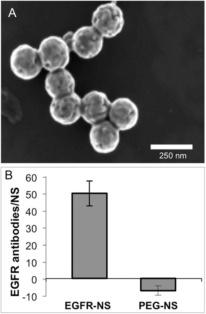 https://cdn.ncbi.nlm.nih.gov/pmc/blobs/25f0/5426781/7b8eb8c77232/pone.0177592.g002.jpg