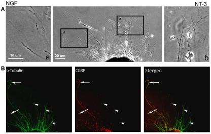 https://cdn.ncbi.nlm.nih.gov/pmc/blobs/25f1/3191531/fbe056b21149/fneng-04-00011-g002.jpg
