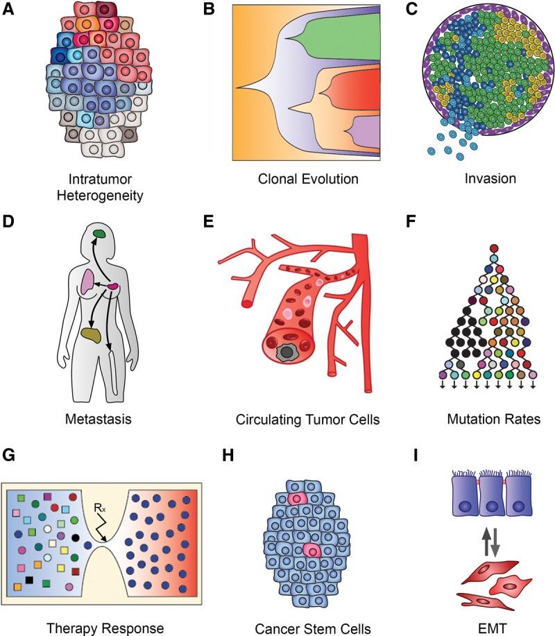 https://cdn.ncbi.nlm.nih.gov/pmc/blobs/25f1/4579335/292c444d909d/1499f02.jpg
