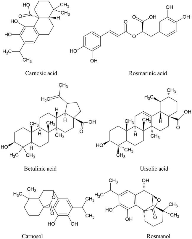 https://cdn.ncbi.nlm.nih.gov/pmc/blobs/25f1/9237507/3b6233003410/fnut-09-905658-g0003.jpg