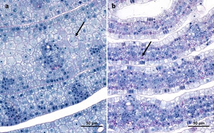 https://cdn.ncbi.nlm.nih.gov/pmc/blobs/25f2/9946824/4c9abac30f1b/41477_2022_1338_Fig8_ESM.jpg