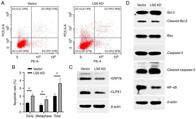 https://cdn.ncbi.nlm.nih.gov/pmc/blobs/25f4/10236266/3be6fa0a7be7/ol-26-01-13881-g02.jpg