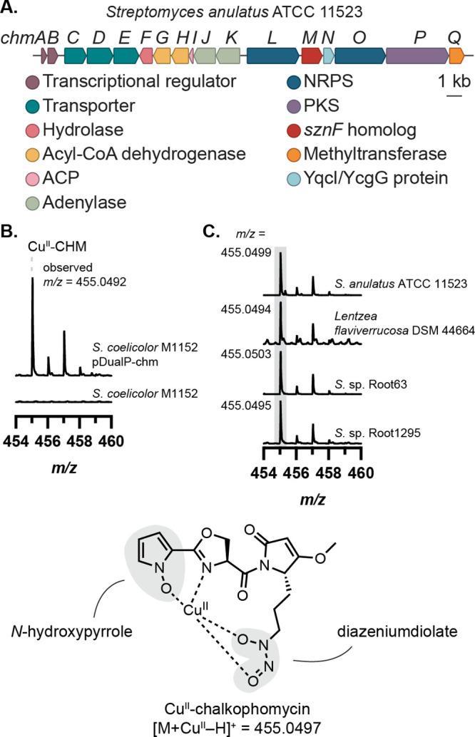 https://cdn.ncbi.nlm.nih.gov/pmc/blobs/25f4/11177257/52cf59cf38ed/ja4c04712_0002.jpg
