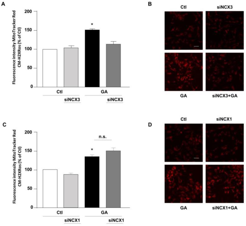 https://cdn.ncbi.nlm.nih.gov/pmc/blobs/25f6/10376230/763fc9dc20c3/biology-12-01005-g003.jpg