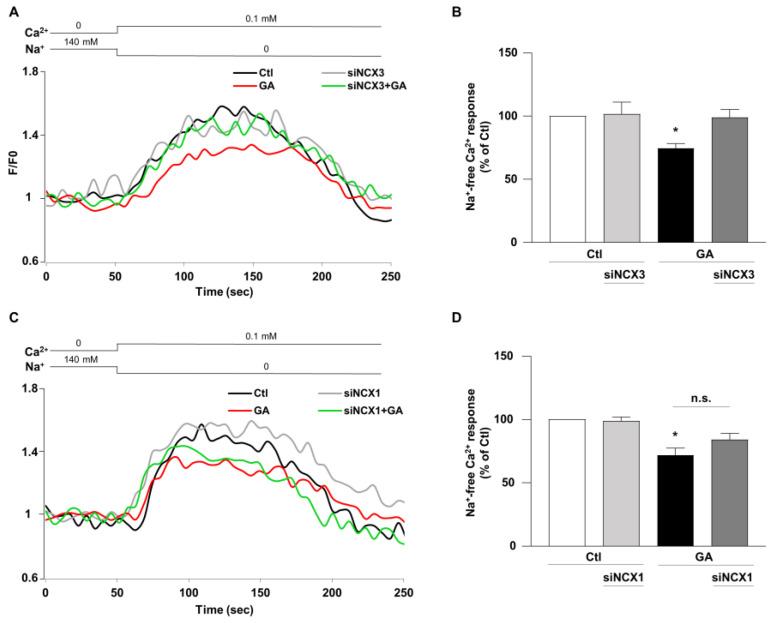 https://cdn.ncbi.nlm.nih.gov/pmc/blobs/25f6/10376230/dc5af4b155df/biology-12-01005-g006.jpg