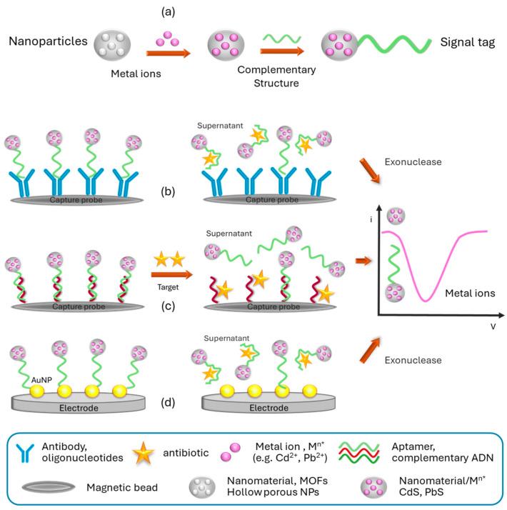 https://cdn.ncbi.nlm.nih.gov/pmc/blobs/25f6/10933756/597822572559/sensors-24-01383-g004.jpg