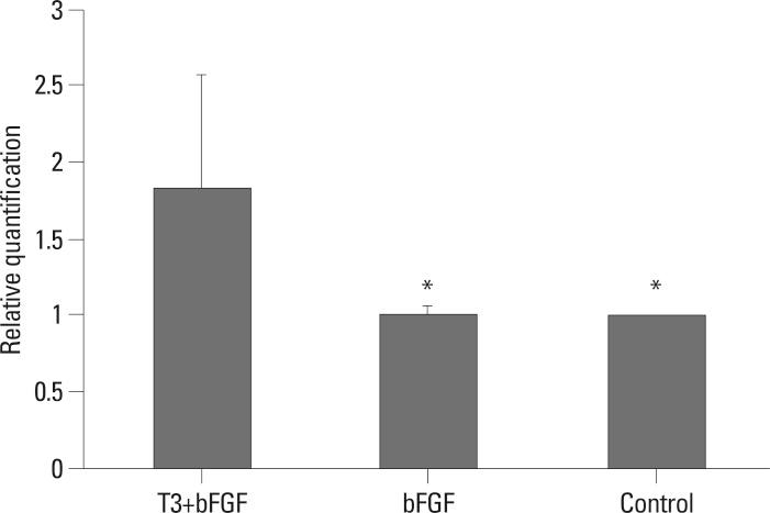 https://cdn.ncbi.nlm.nih.gov/pmc/blobs/25f6/3521252/a7b95b666236/ymj-54-246-g005.jpg