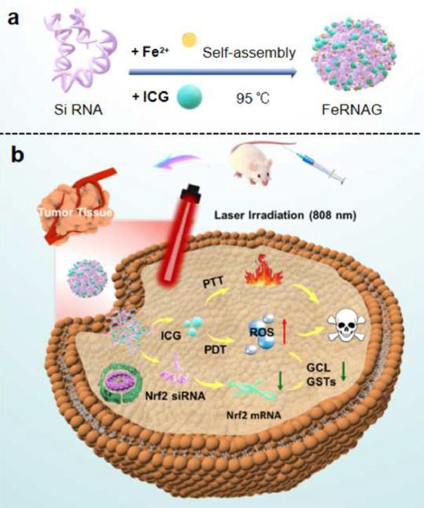 https://cdn.ncbi.nlm.nih.gov/pmc/blobs/25f8/12327862/3fb0f69ddfcb/ga1.jpg